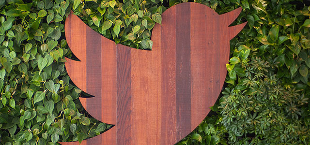 Starter Post - Twitter Embed